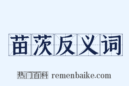 苗茨反义词是什么意思的图片
